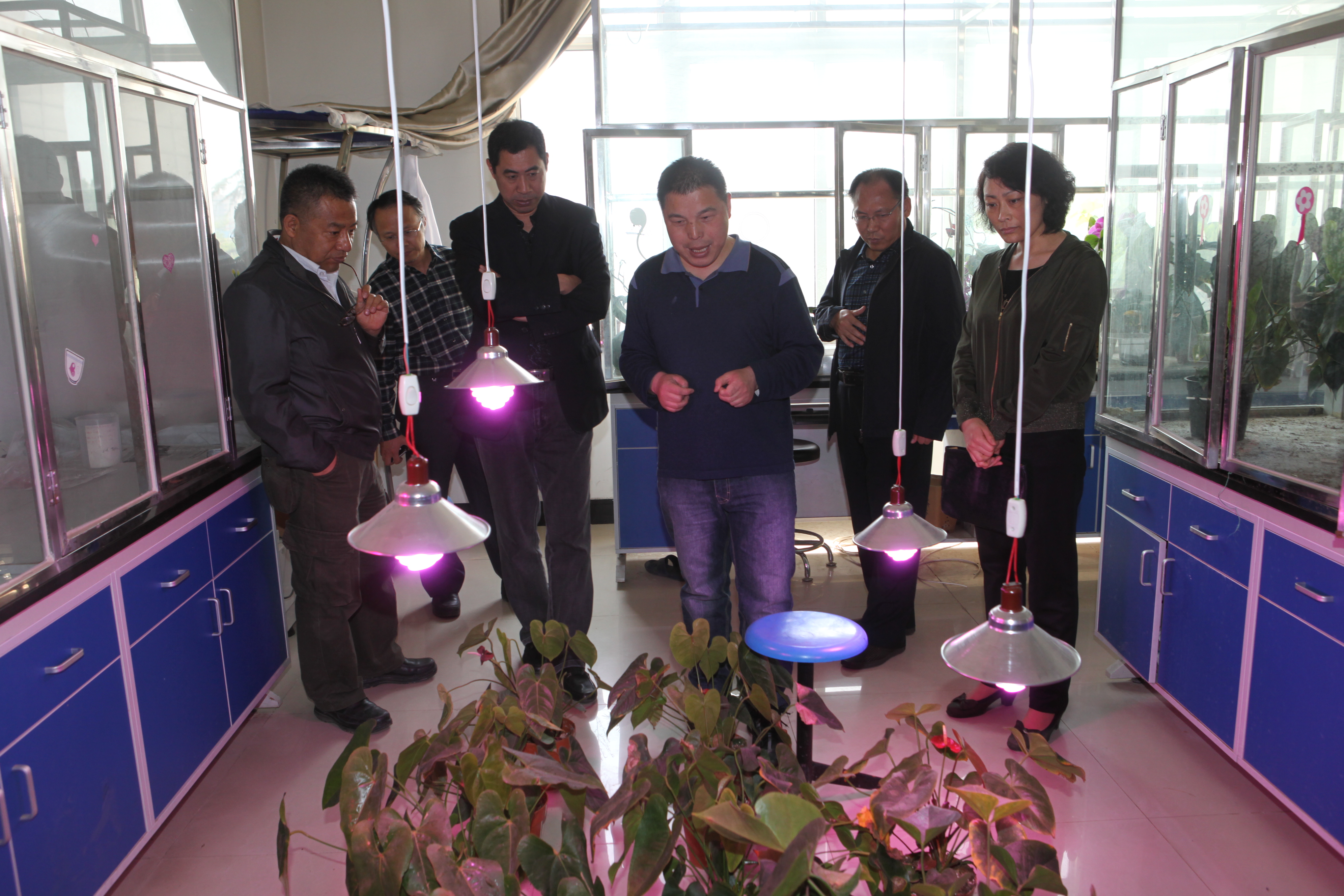 新葡京官网两项唐山市重点实验室项目顺利通过专家验收